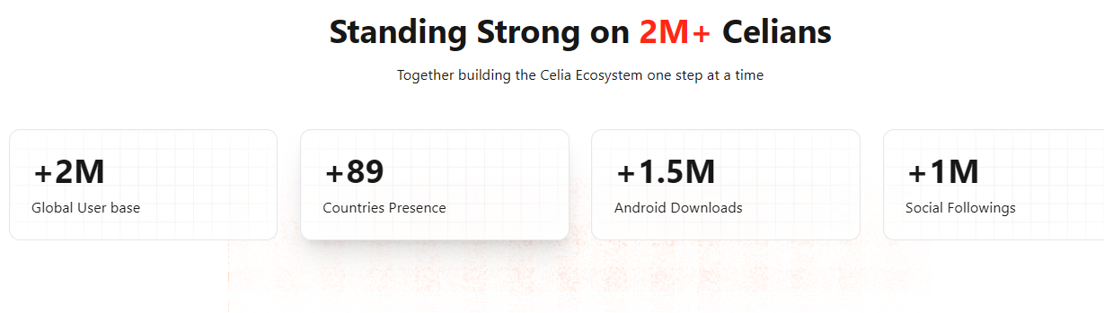 project and specializatin