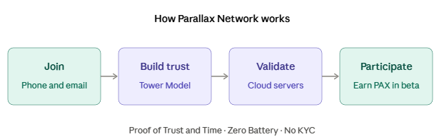 How does Parallex Network works How does Parallex Network works