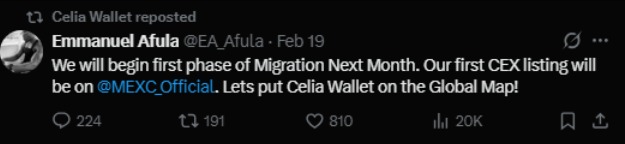 Celia wallet Celia wallet