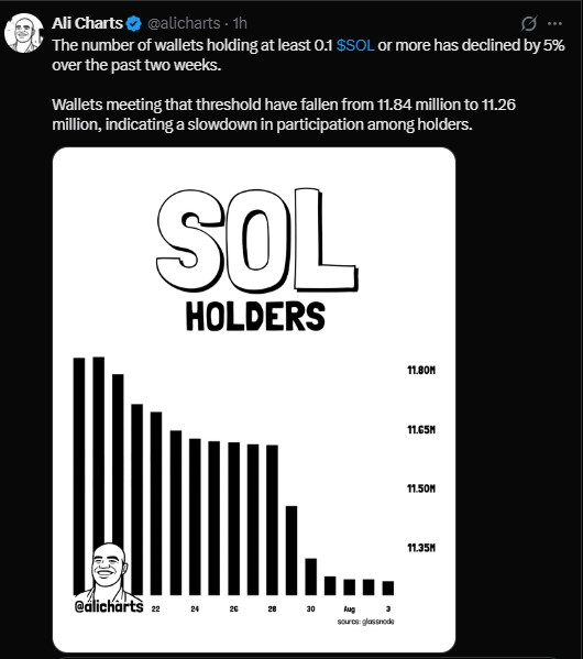 wallets holding at least 0.1 SOL dropped 5% in two weeks wallets holding at least 0.1 SOL dropped 5% in two weeks