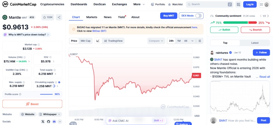 mantle MNT crypto loser today january 13