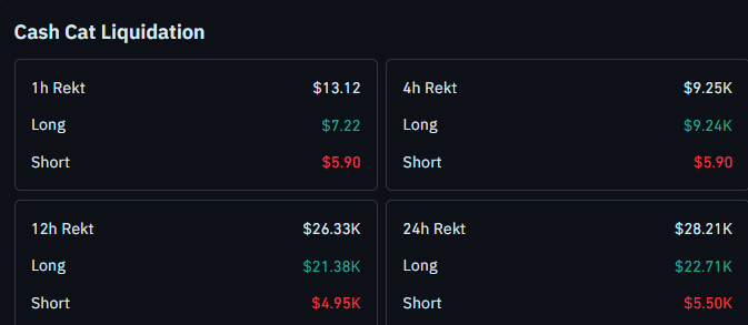 Cashcat liquidation data