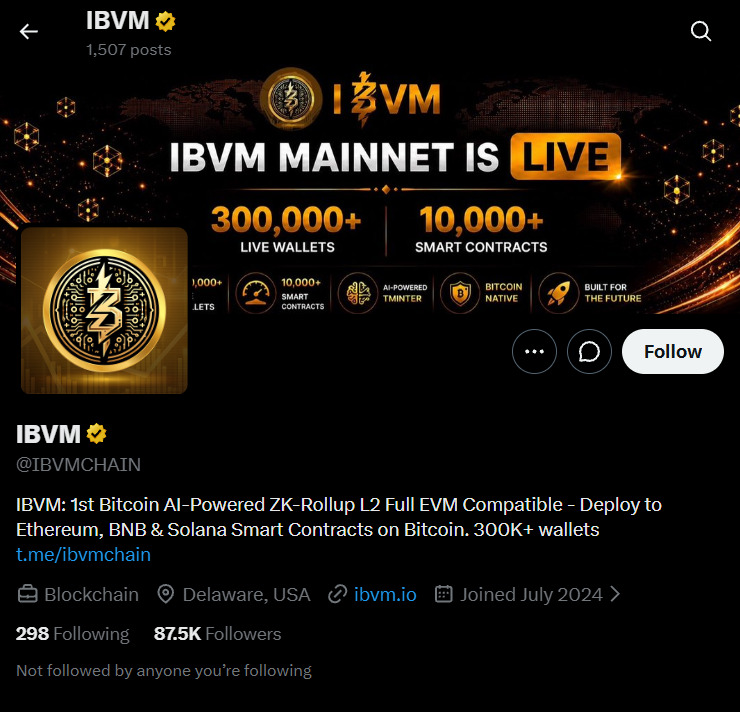 IBVM Official X Account