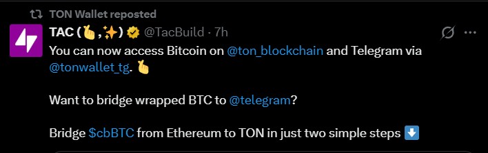How BTC Bridging to TON Works?