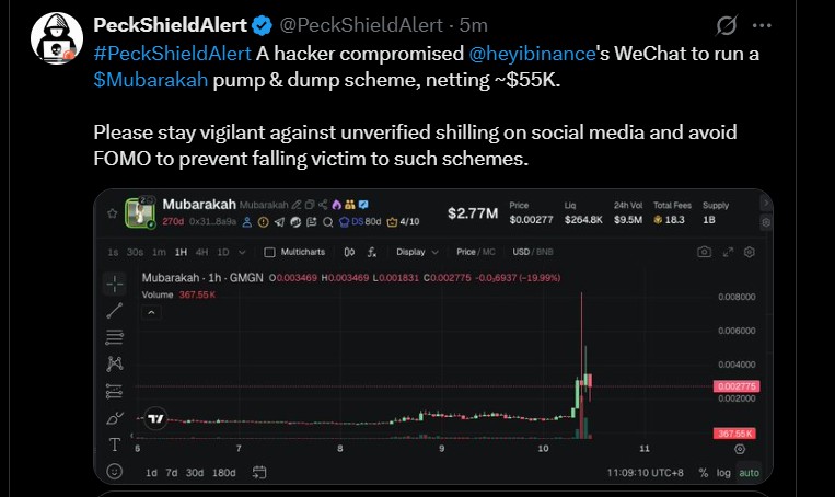 Latest Wechat Memecoin scam