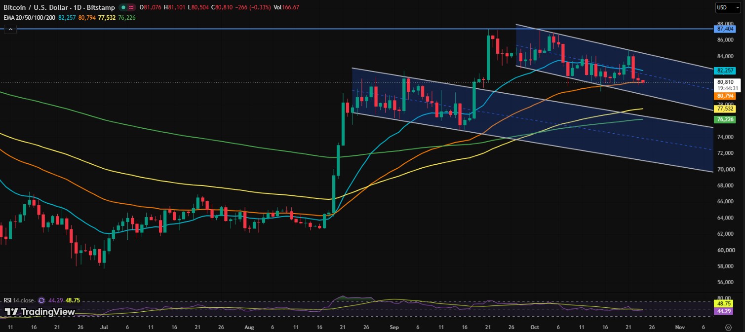 BTC/USDT PRICE CHART
