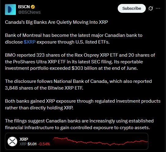 XRP BSCN source XRP BSCN source