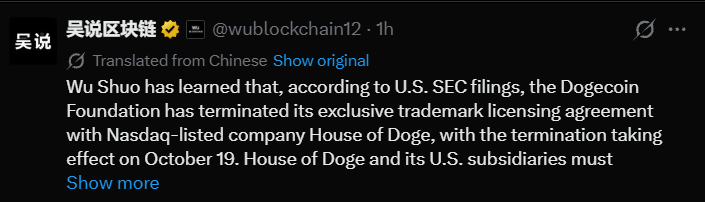 Dogecoin Foundation News: US SEC Filings