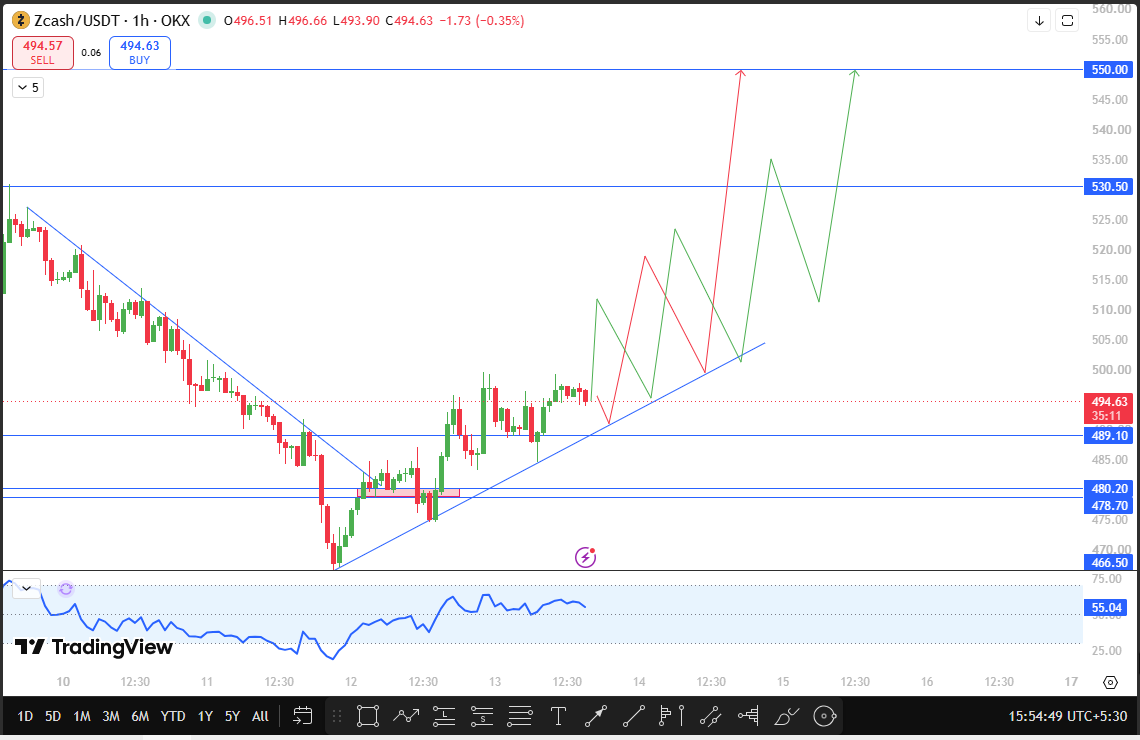 Zcash 1-Hour Chart Analysis