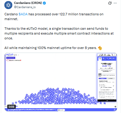 The Network Itself Is Quietly Doing Fine