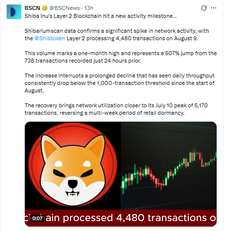 Shiba Inu News Today