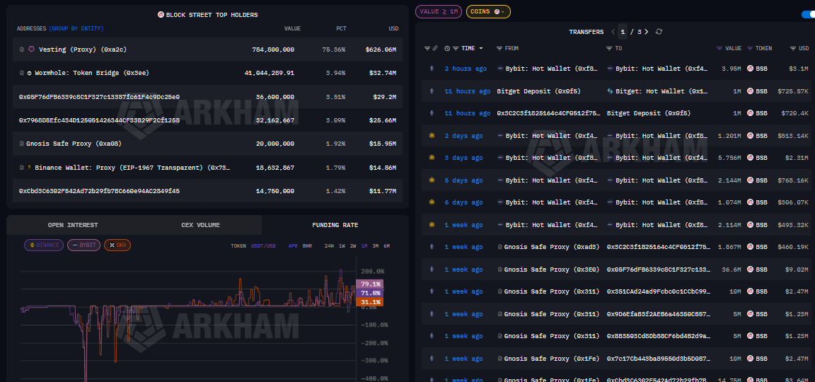 Block Street BSB whale data and wallet activity analysis