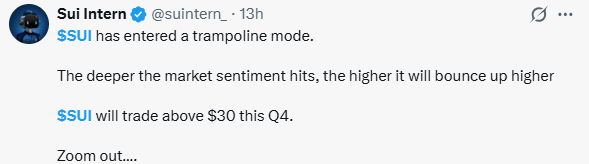 SUI $30 Trampoline Call: Hype or Real? SUI $30 Trampoline Call: Hype or Real?