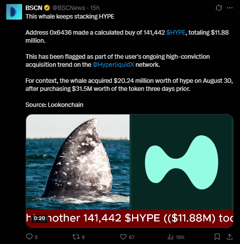 HYPE News Today
