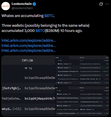 Whales Accumulating BTC