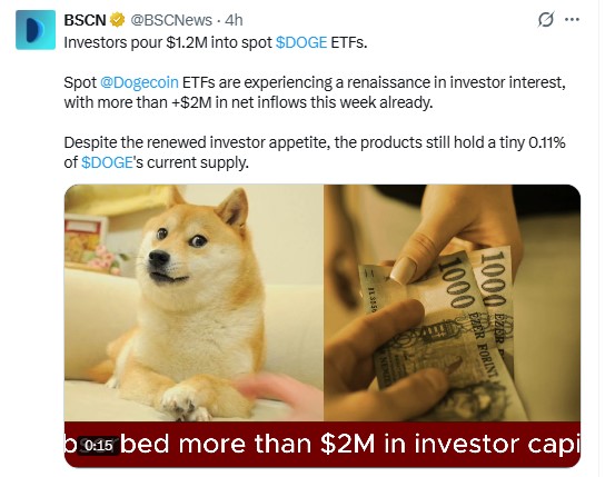 Dogecoin News Today: Spot ETF Inflows Rise
