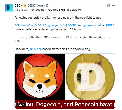 Shiba Inu News Today