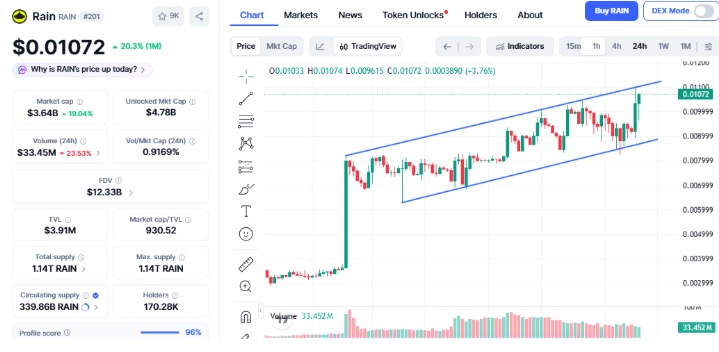 RAIN Price Prediction