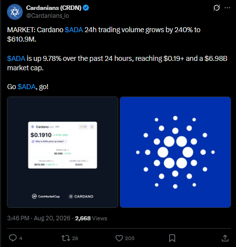 Cardano latest news on x