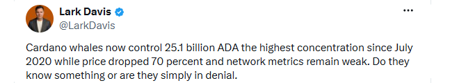 Cardano Centralization Risk