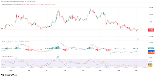 DOGE Momentum  Indicators