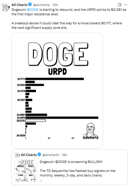 dogecoin twit on twitter