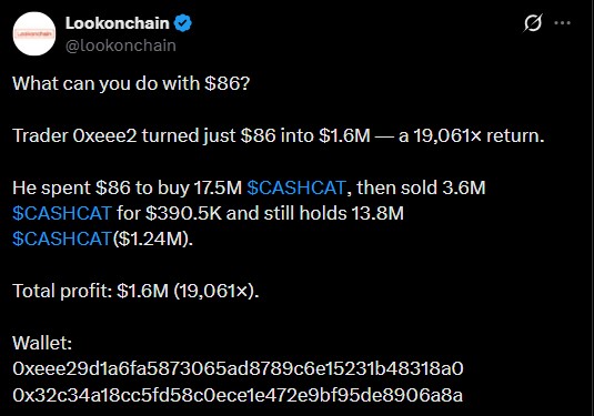 Cashcat coin profit making Cashcat coin profit making
