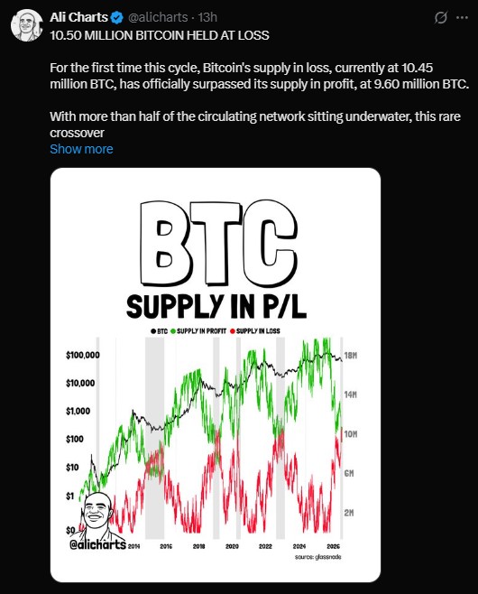 Bitcoin BTC Supply in P/L Bitcoin BTC Supply in P/L