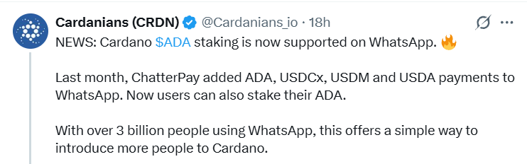 Cardanno WhatsApp Staking Cardanno WhatsApp Staking