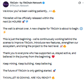 TikWallet "will be officially released within the next 24 hours" TikWallet "will be officially released within the next 24 hours"