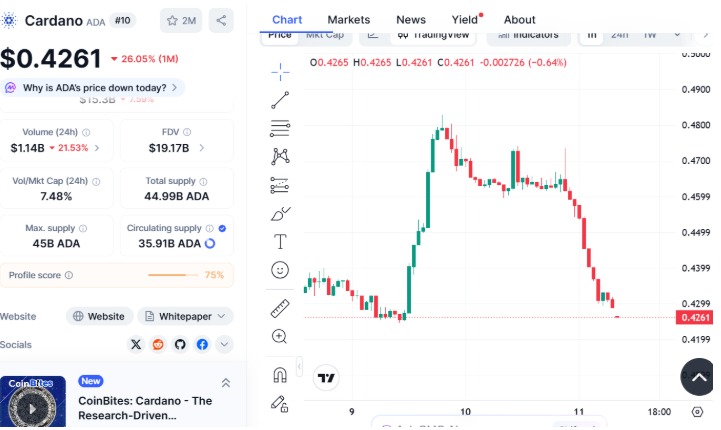 CoinMarketCap CoinMarketCap