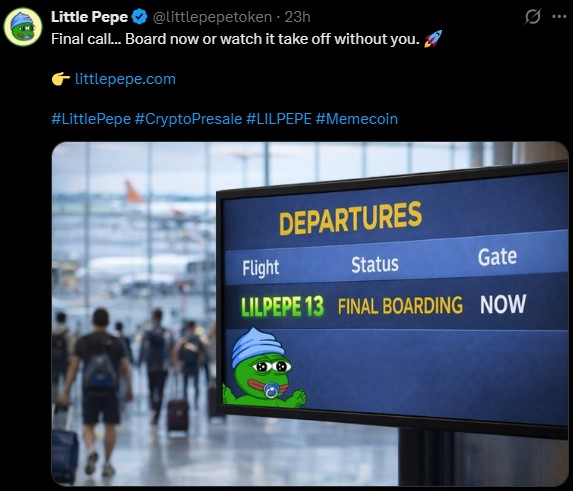 LILPEPE 13 — FINAL BOARDING