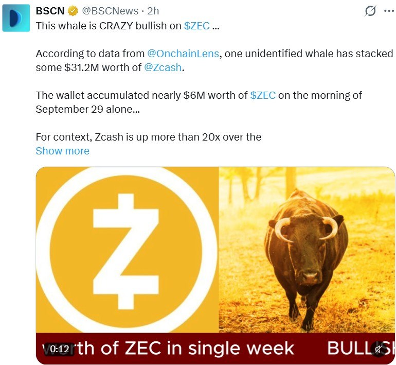ZEC Whale Accumulation Data