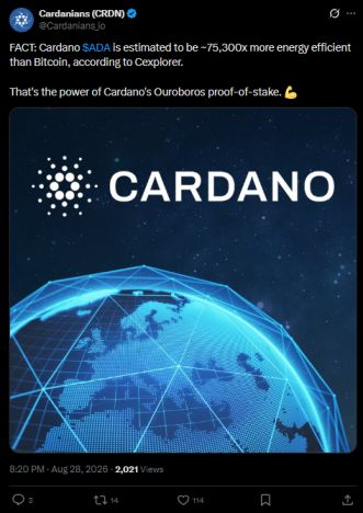 Cardano Latest News