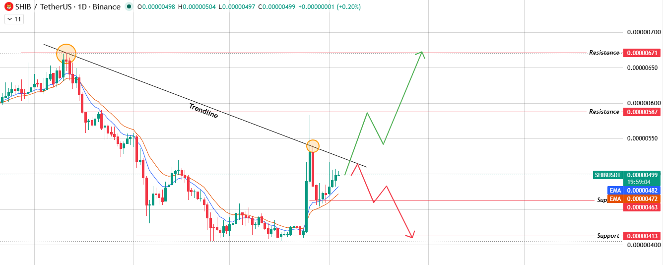 shiba daily chart analysis shiba daily chart analysis
