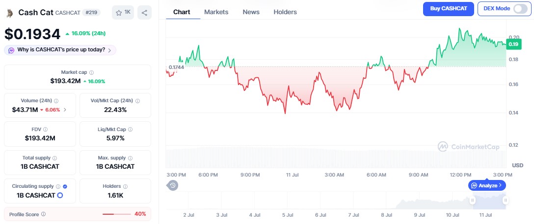 Cashcat coin price today