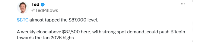 Analyst Ted Pillows 