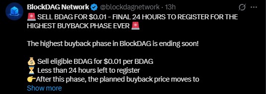 BlockDAG Official X Handle