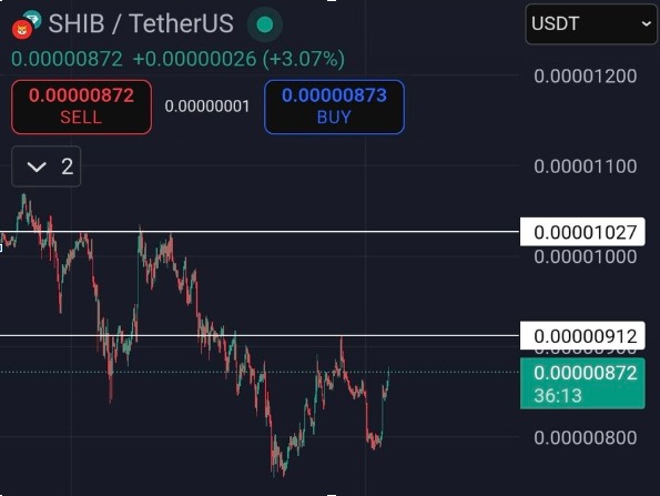 shiba inu price prediction outlook