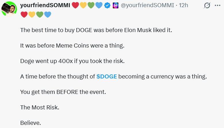 DOGE News: Post Says Early Buyers Took the Most Risk