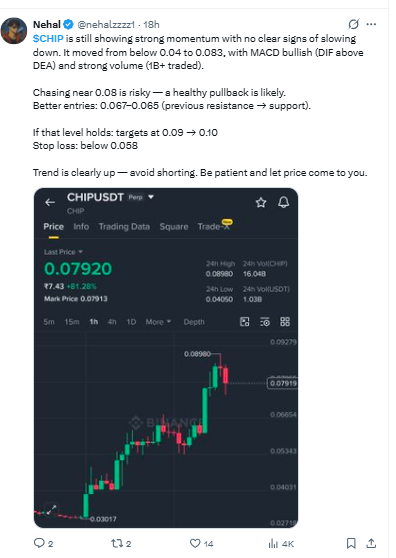 CHIP price momentum analysis by crypto analyst Nehal