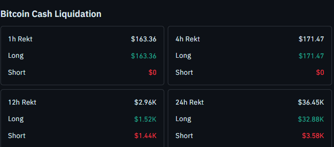 IBitcoin cash liquidation data