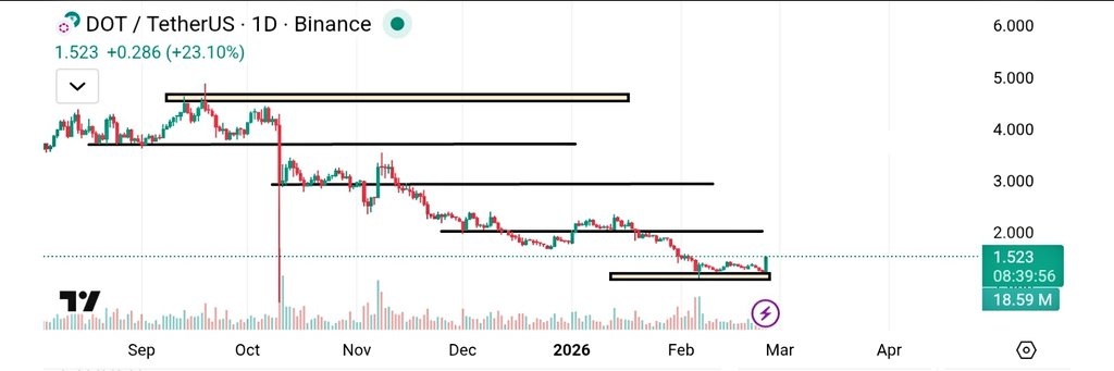 Polkadot Price Prediction daily chart showing 23 percent bounce from key support level