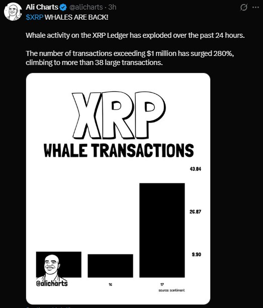 XRP Whale transactions on the XRPL have exploded XRP Whale transactions on the XRPL have exploded