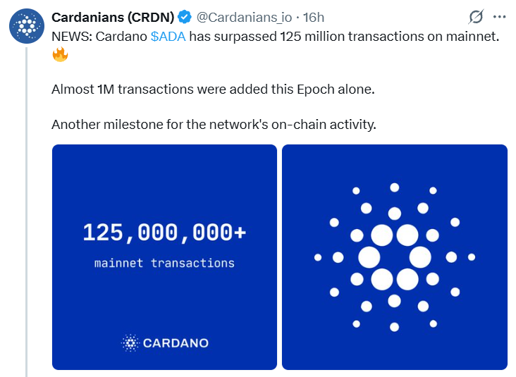 Cardano News Today Cardano News Today