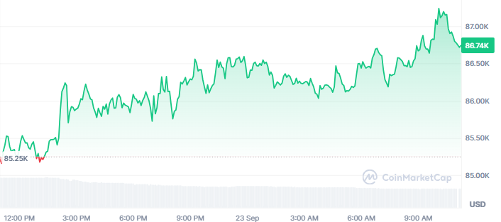 Bitcoin Price Today Bitcoin Price Today