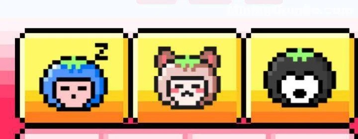 Combo Diario Tomarket