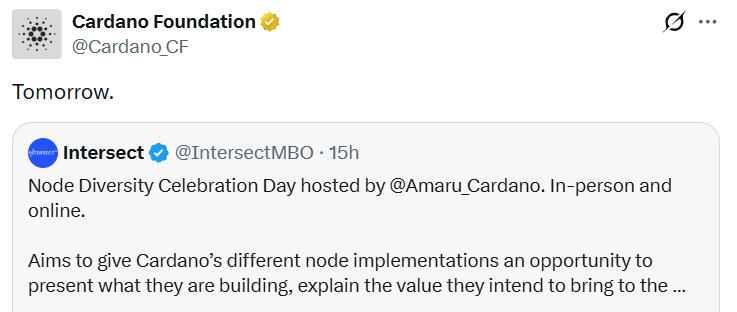Node Diversity Day