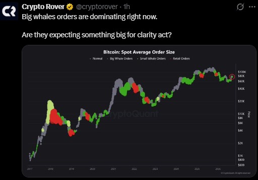 big whale orders dominating spot activity right now