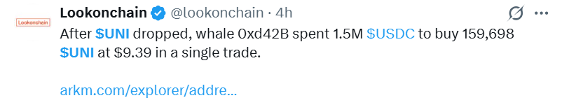 Uniswap News: Whale Buys the Dip